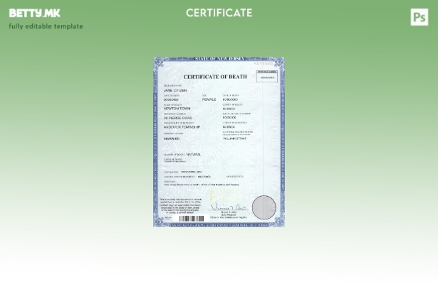 Модерен стил шаблон за уверение за смрт од државата Њу Џерси во шаблон PSD форма